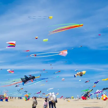 Rimini Suite Hotel 4*